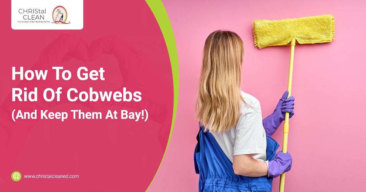 How To Get Rid Of Cobwebs